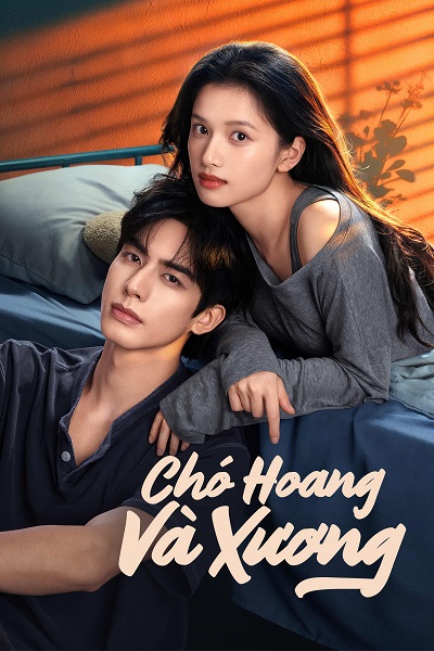 Chó Hoang Và Xương